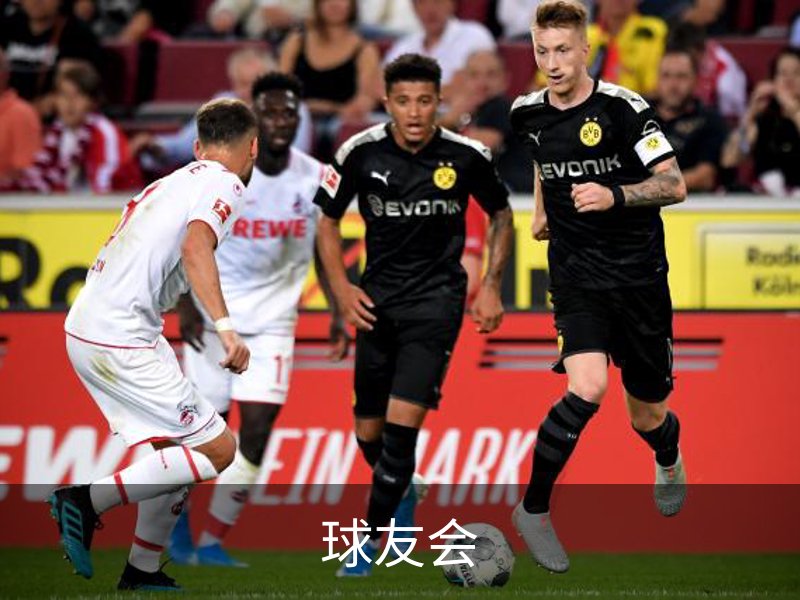 球友会·(千亿)官方网站